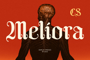 Related font CS Meliora