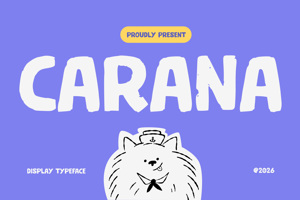 Related font Carana
