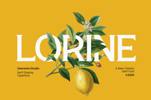 Related font Lorine