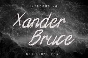 Xander Bruce