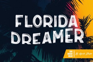 Florida Dreamer