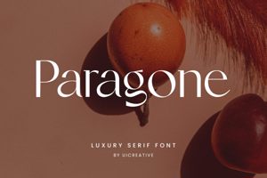 Related font Paragone Fancy Aesthetic Serif