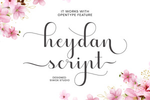 Heydan Script