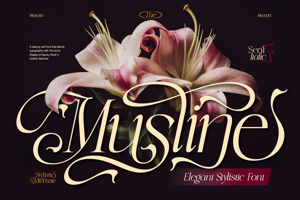 Related font Musline