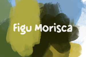 f Figu Morisca