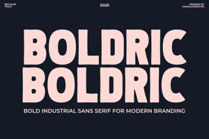 Related font Boldric
