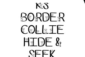 Ks Border Collie