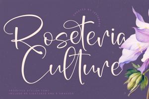 Roseteria Culture VERSION