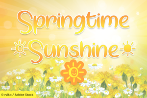 Springtime Sunshine