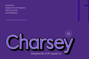 Charsey 3D