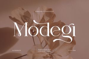 Related font Modegi