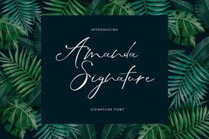 Related font Amanda Signature Fancy Cursive