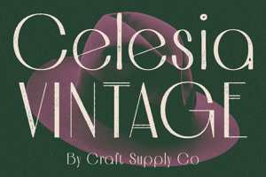 Celesia Vintage