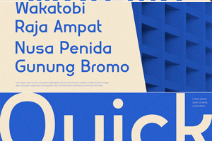 Related font Morsive