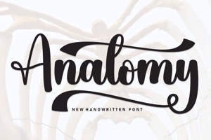 Anatomy