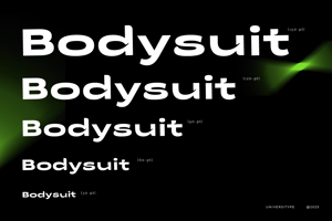 Related font UT Zinga