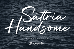 Sattria Handsome