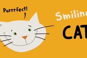 DK Smiling Cat