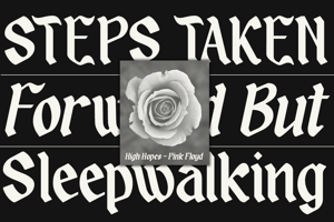 Related font Sandey Molse DEMO