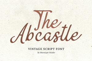 The Abcastle