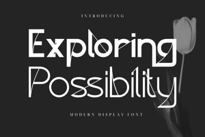 Exploring Possibility