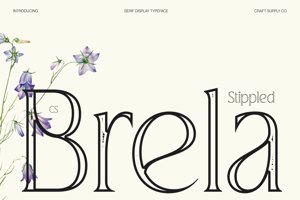 Related font CS Brela Stippled