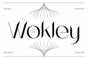 Related font CS Wokley