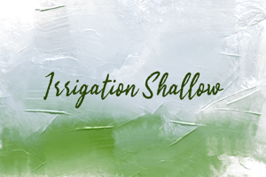 i Irrigation Shallow
