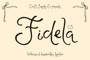 Related font CS Fidela