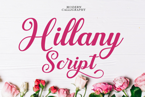 Hillany Script