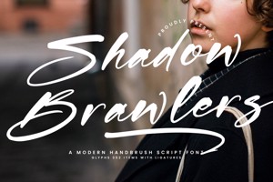 Shadow Brawlers