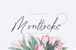 Monttocks