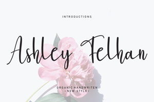 Ashley Felhan