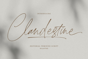 Related font Clandestine Script