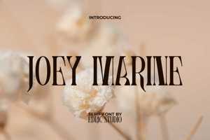 Joey Marine