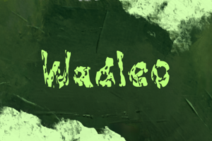 Related font Wadleo