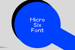Micro Six