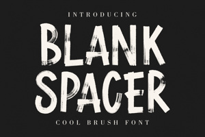 BLANK SPACER