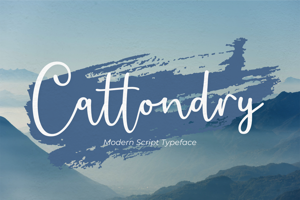 Cattondry