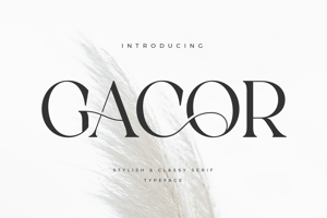 Related font Gacor
