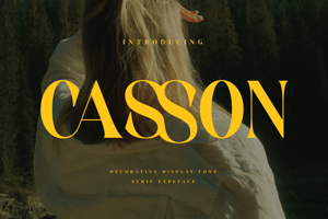 Related font Casson
