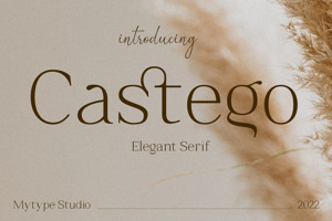 Castego