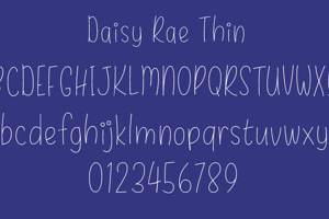 Daisy Rae Thin
