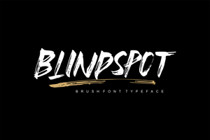 Blindspot