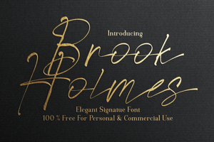 Brook Holmes