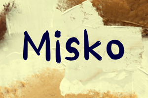 M Misko