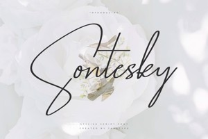 Sontesky
