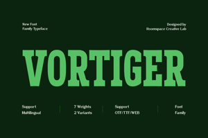 Related font VORTIGER