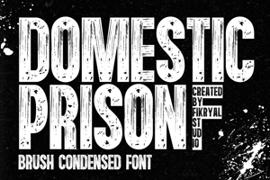 Domestic Prison
