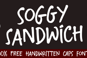 Soggy Sandwich